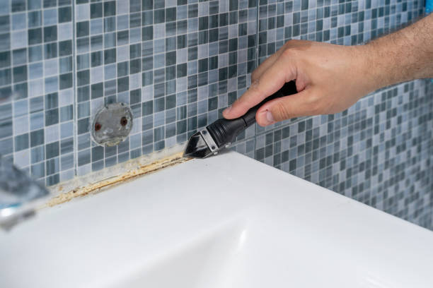 Best Black Mold Remediation in Bayville, NY